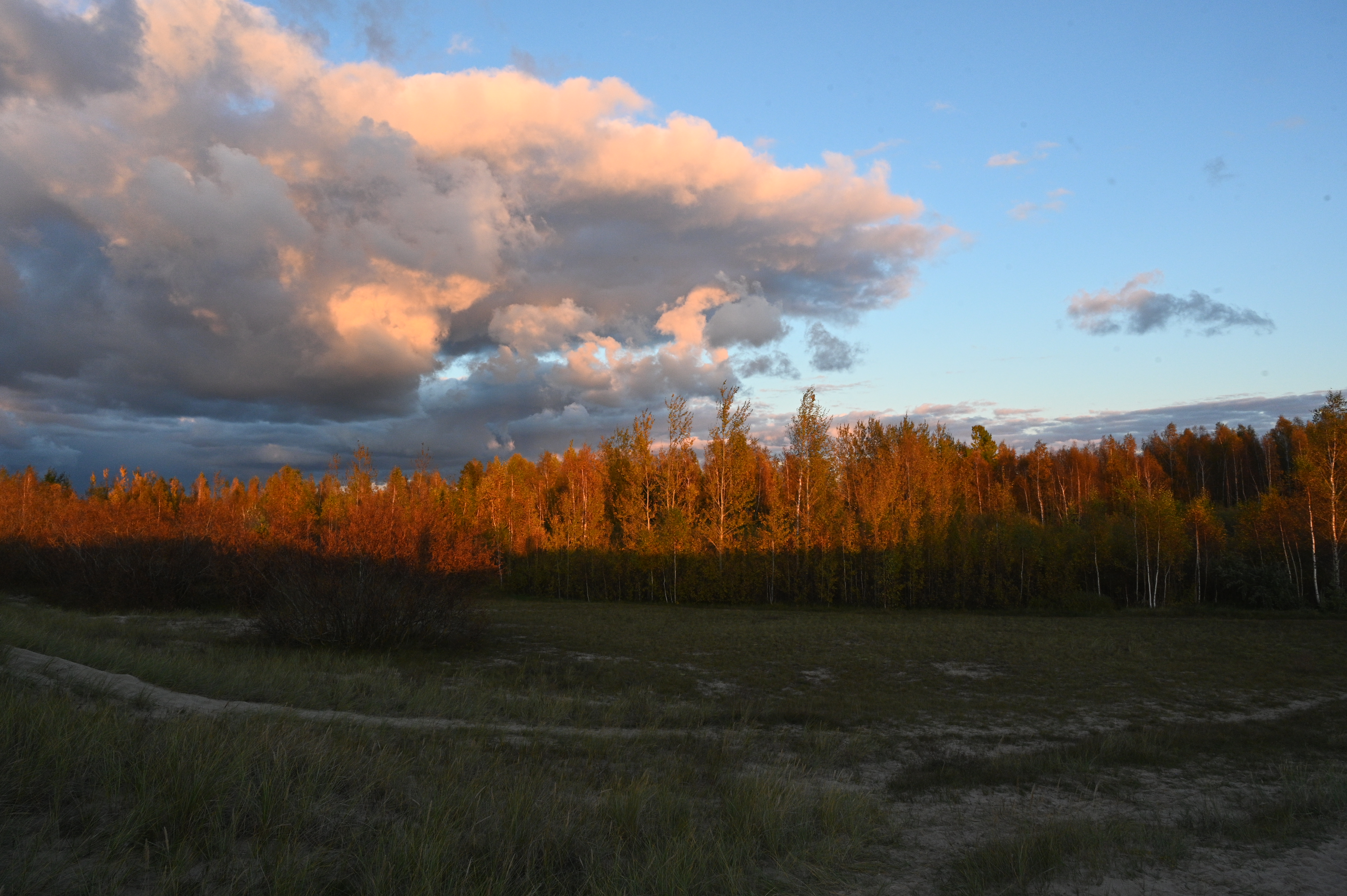 2025/10/18 - walk/DSC_0401.JPG